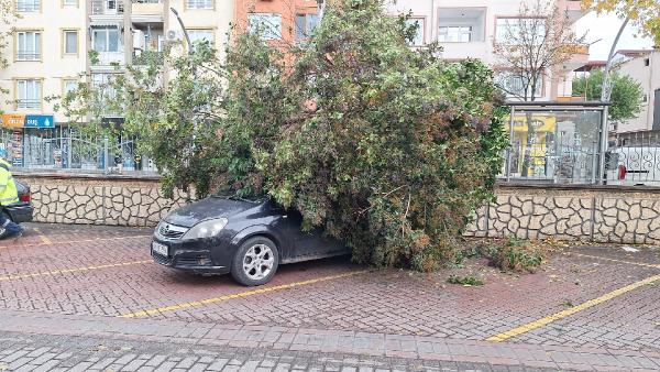 AĞAÇ OTOMOBİLİN ÜZERİNE DEVRİLDİ