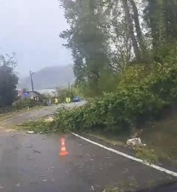 TEKNE BATTI Amasra’da sabah