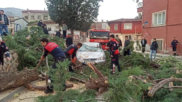 Şerife Serap KARA/AMASYA, (DHA)-AMASYA’da