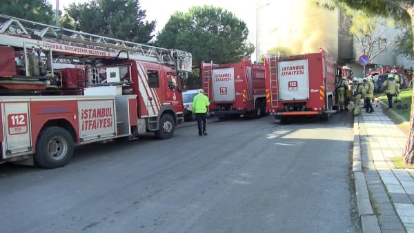 Baran AKKAYA/İSTANBUL,(DHA)-BAĞCILAR’da sünger ve