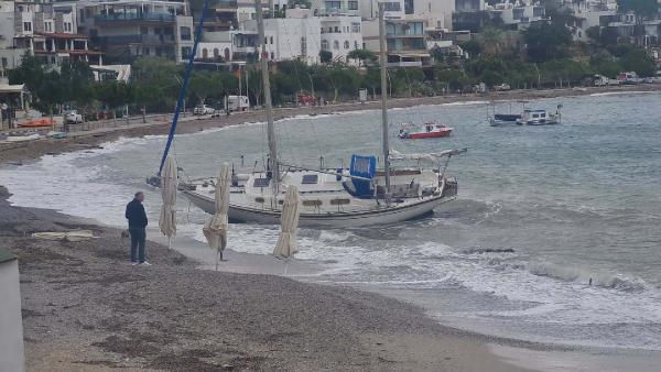 Fırat AKAY/BODRUM (Muğla), (DHA)-