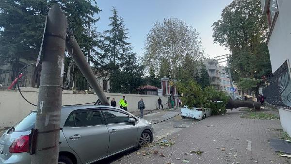 Yiğithan HÜYÜK/BURSA, (DHA)- BURSA’da