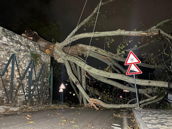 Bursa’da, saatteki hızı 70