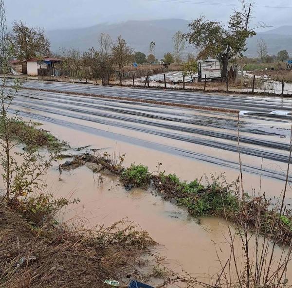 Cemhan ŞEN / ÇANAKKALE,