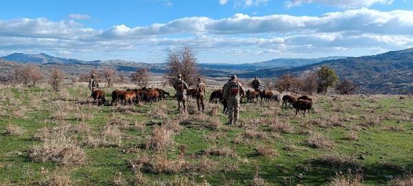 Faik AKGÜN/ELAZIĞ,(DHA)-ELAZIĞ’da kaybolan 40