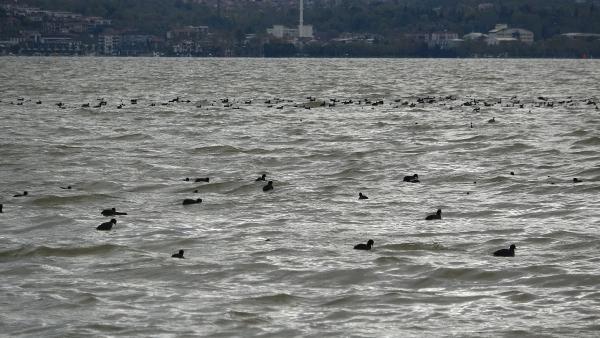 Nazım Özgün ERBULAN/İZMİT(Kocaeli),(DHA)-KOCAELİ’de sağanak,