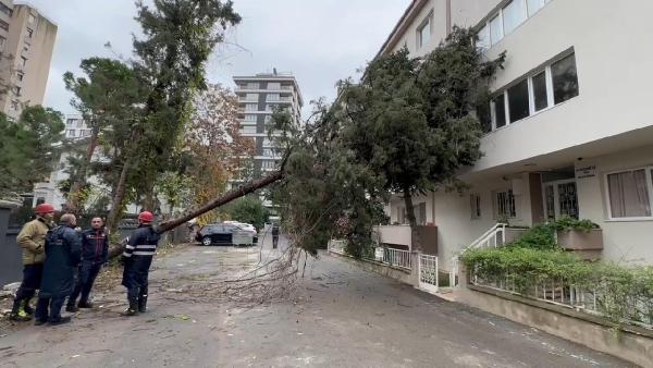 Murat KORKMAZ/İSTANBUL,(DHA)- Kadıköy’de etkili