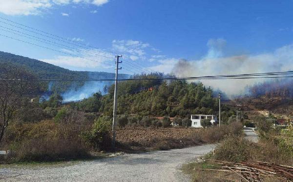 Cavit AKGÜN/MUĞLA, (DHA)- MUĞLA’nın