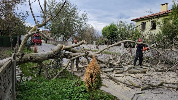 İsa ÇİÇEK/SAPANCA (Sakarya), (DHA)-