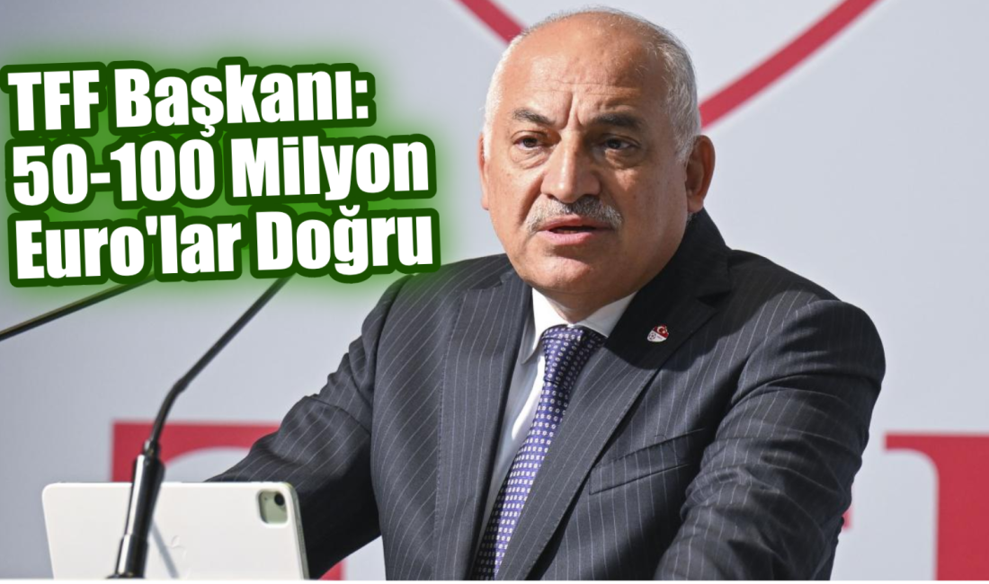 Türkiye Futbol Federasyonu Mehmet