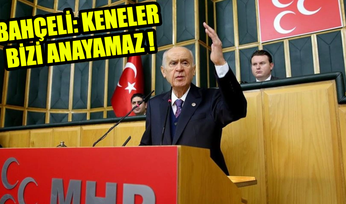 MHP Genel Başkanı Devlet