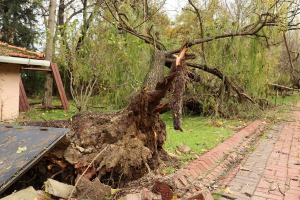 KEŞAN’DA AĞAÇLAR DEVRİLDİ Edirne’nin