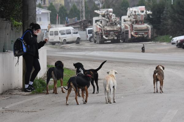 ANKARA, (DHA)- ANKARA Valiliği,