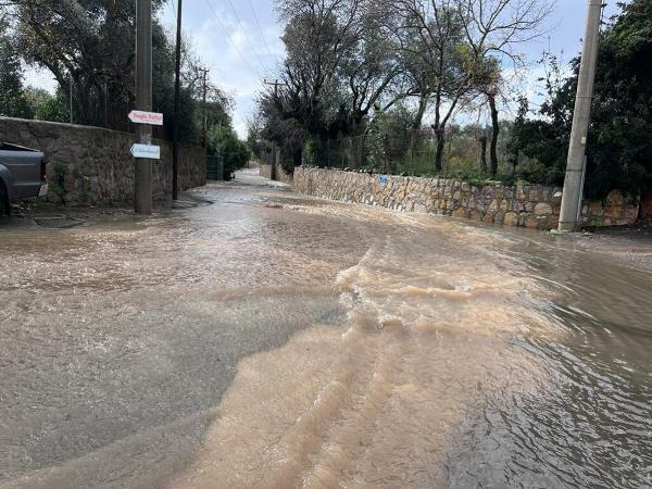 Fırat AKAY/BODRUM (Muğla), (DHA)-