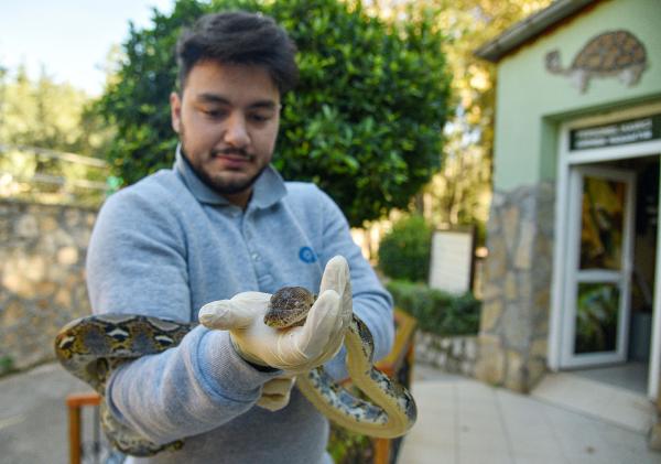 Tolga YILDIRIM/ANTALYA, (DHA)-TÜRKİYE’de satışı