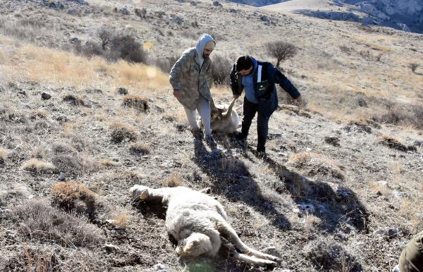 Hüsnü Ümit AVCI/KANGAL (Sivas),