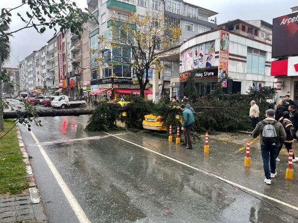 Abdullah UZUN/ PAZAR, (Rize),