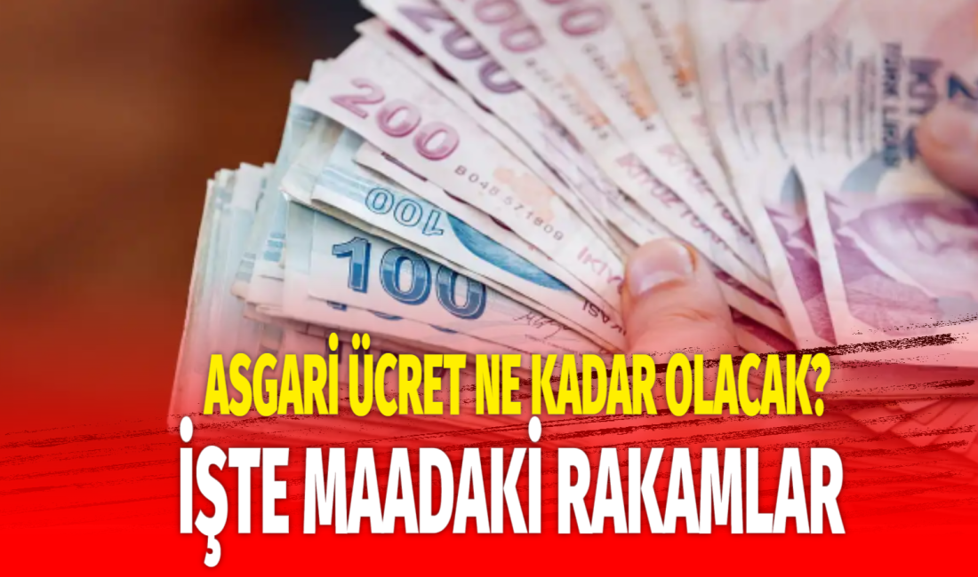 Yeni asgari ücret ne