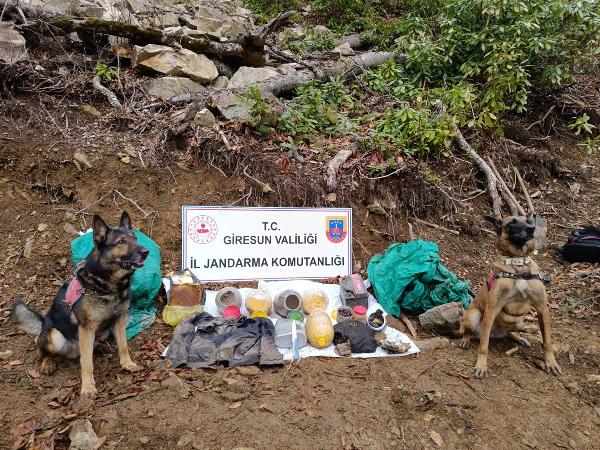 Hakan KABAHASANOĞLU/GİRESUN, (DHA)- GİRESUN’da jandarma