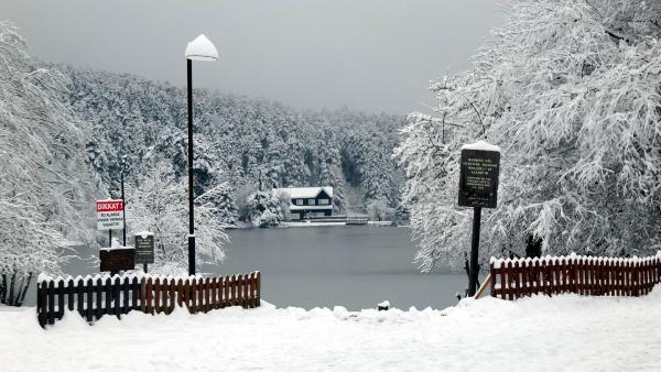 Mutlu YUCA/ BOLU, (DHA)-