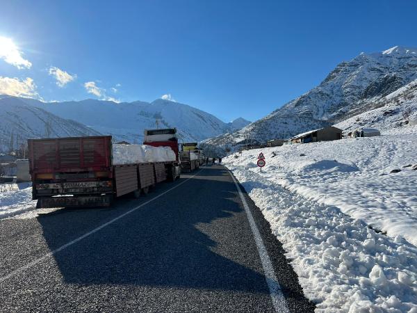 Serdar KARA/ÇUKURCA (Hakkari), (DHA)-