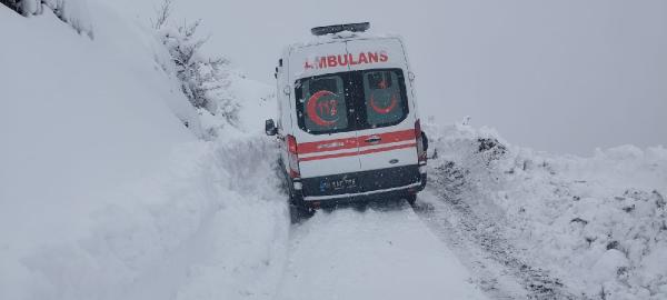 Akif ÖZALP/ŞİRVAN (Siirt), (DHA)-