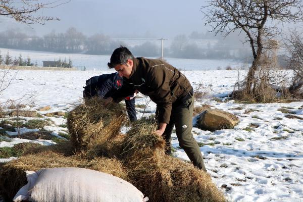 Mutlu YUCA/BOLU, (DHA)- BOLU’da