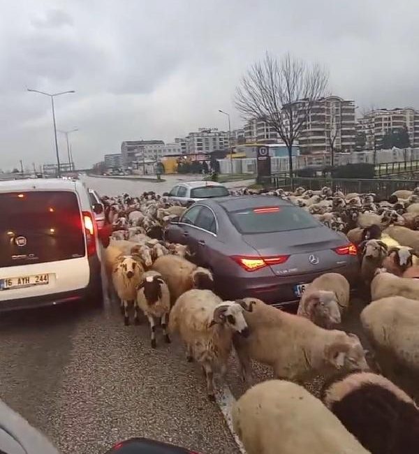 Esra TÜRKER-Abdulselam UĞUR/BURSA, (DHA)-BURSA’da