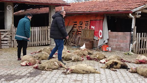 Tuna İŞLEYEN/TAVŞANLI (Kütahya), (DHA)-