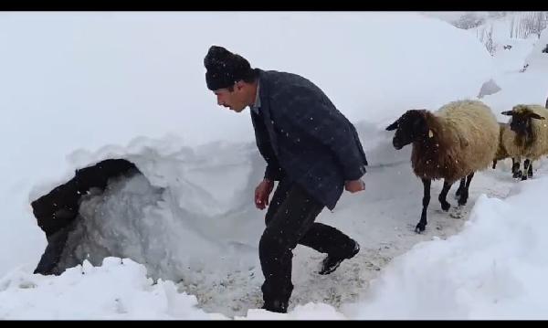 Behçet DALMAZ-Orhan AŞAN/VAN,(DHA)- VAN’da etkili