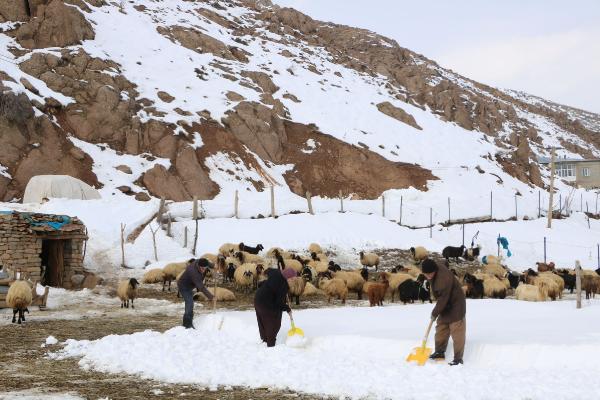 Yaşar KAPLAN/YÜKSEKOVA,(Hakkari)-(DHA)-HAKKARİ’nin Yüksekova ilçesinde