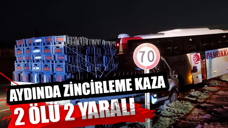 Aydın’ın Buharkent ilçesinde otomobil,