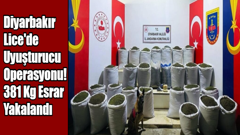 Diyarbakır’ın Lice ilçesinde İl