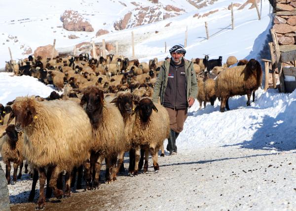 Gülay KUYUCU- Orhan AŞAN/VAN,