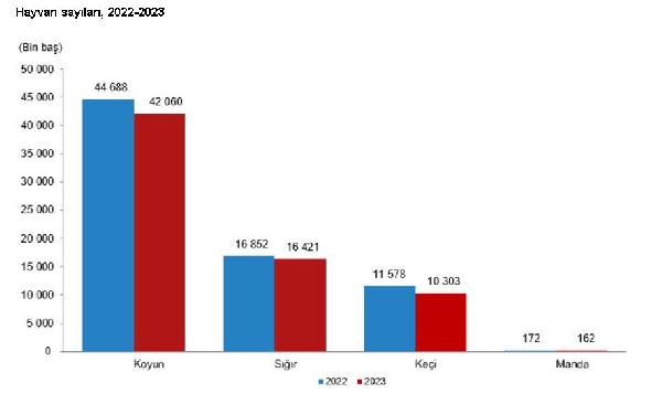 ANKARA, (DHA)- TÜRKİYE İstatistik