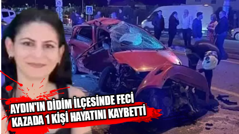 Aydın’ın Didim ilçesinde iki