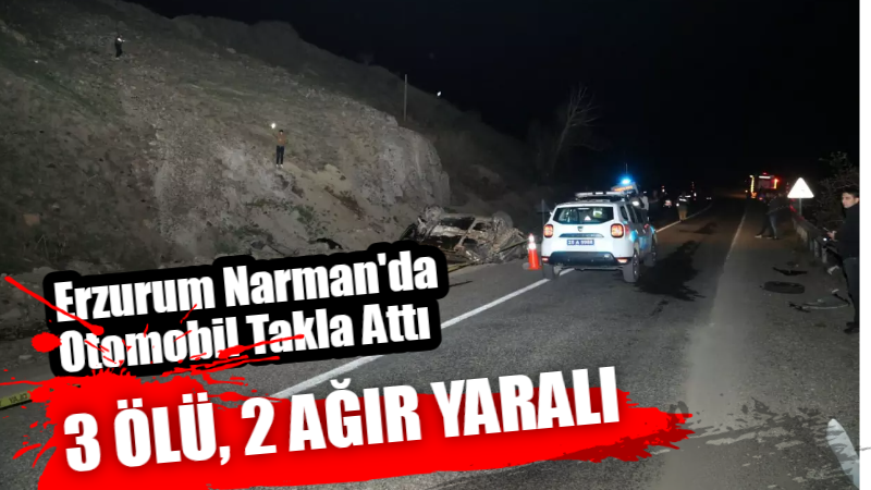 Erzurum’un Narman ilçesinde sürücünün