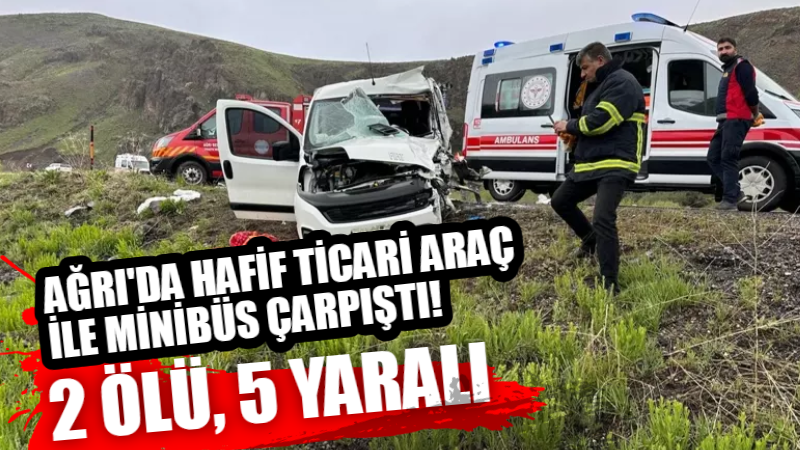 Ağrı'nın Eleşkirt ilçesinde hafif