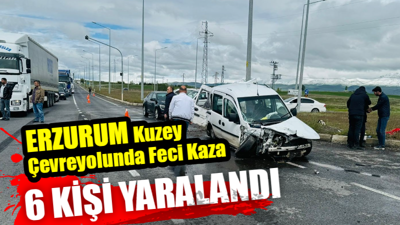 Erzurum kuzey çevre yolunda