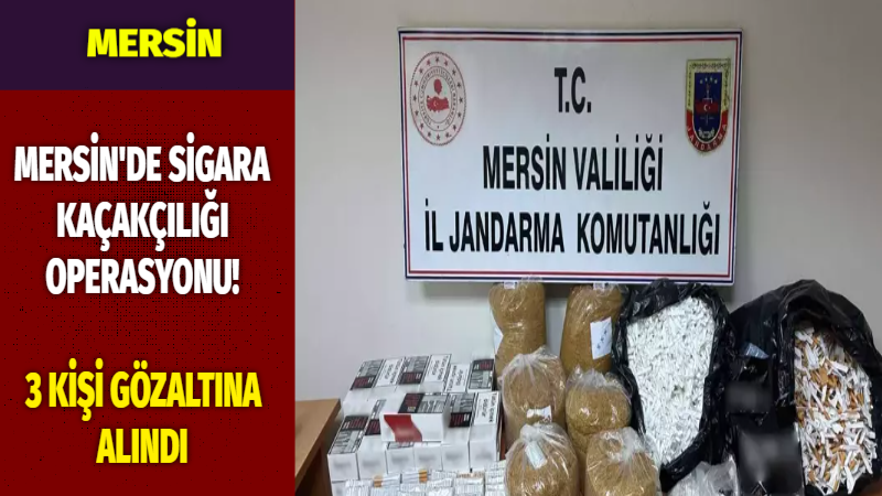 Mersin'in Gülnar ve Tarsus