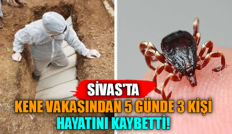 Sivas’ta Kene Vakasından 5 Günde 3 Kişi Hayatını Kaybetti!