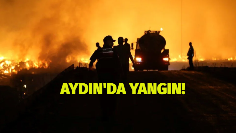 Aydın’ın Söke ilçesine bağlı