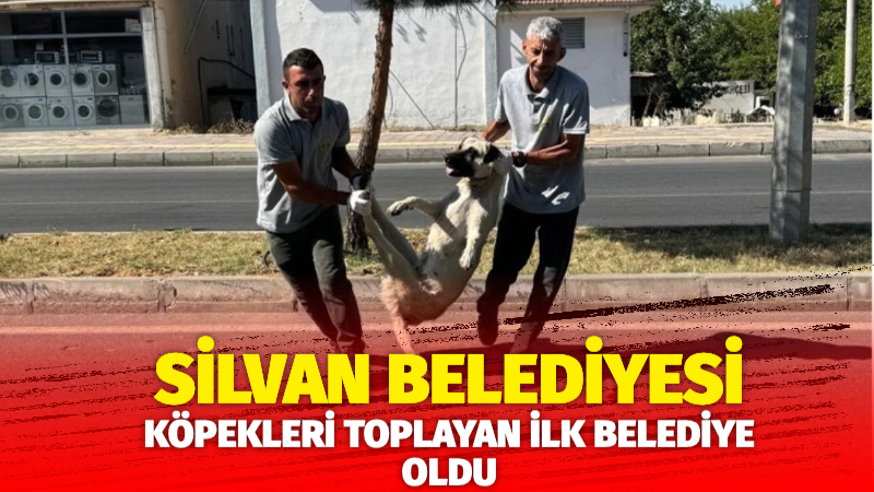 Başıboş köpek yasasının TBMM’den