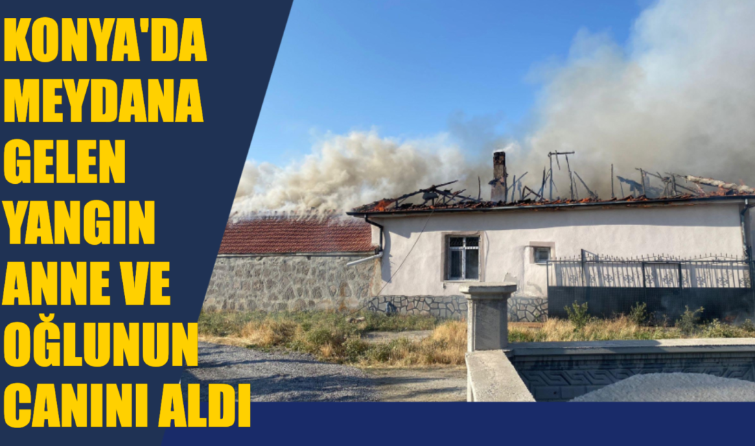 Konya'nın Kulu ilçesinde tek