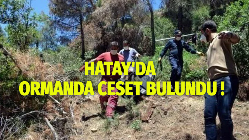 Hatay’ın Belen ilçesinde bir