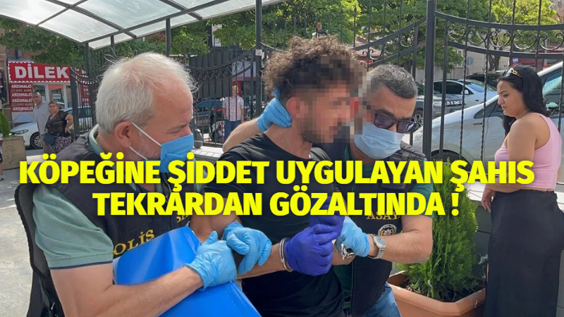 Eskişehir’de köpeğine şiddet uyguladığı