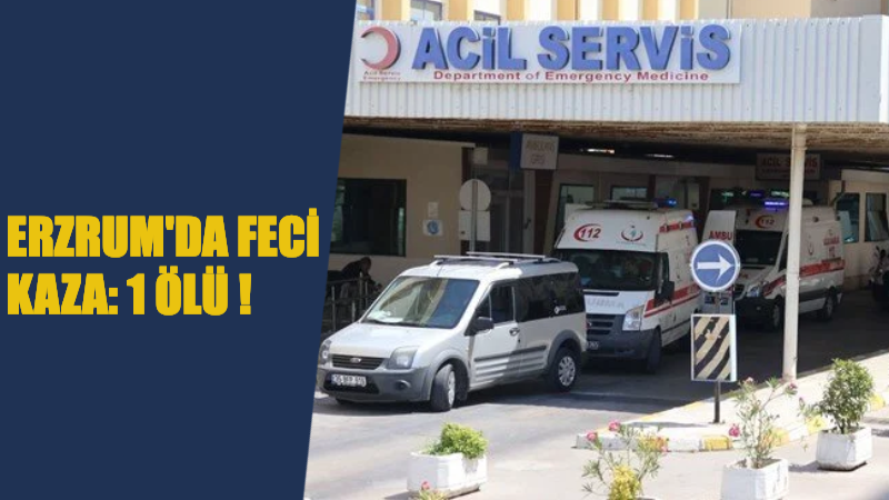 Erzurum’da kaldırıma çarptıktan sonra